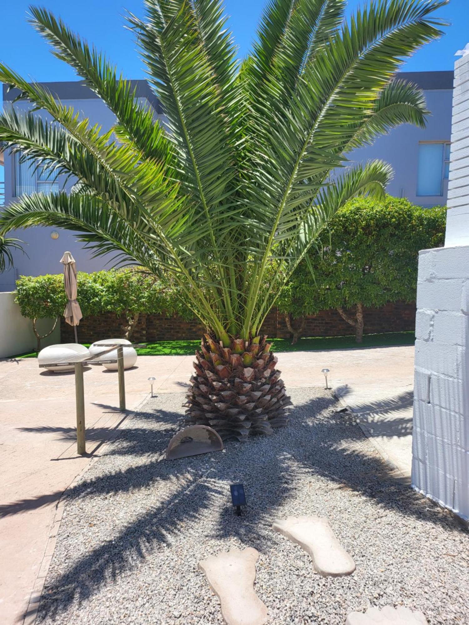 Beach Style Cottage Langebaan Bagian luar foto